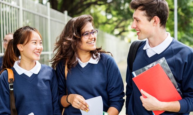 Higher Secondary (Standard 11-12)