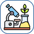 Science: Physics / Chemistry / Biology / Mathematics